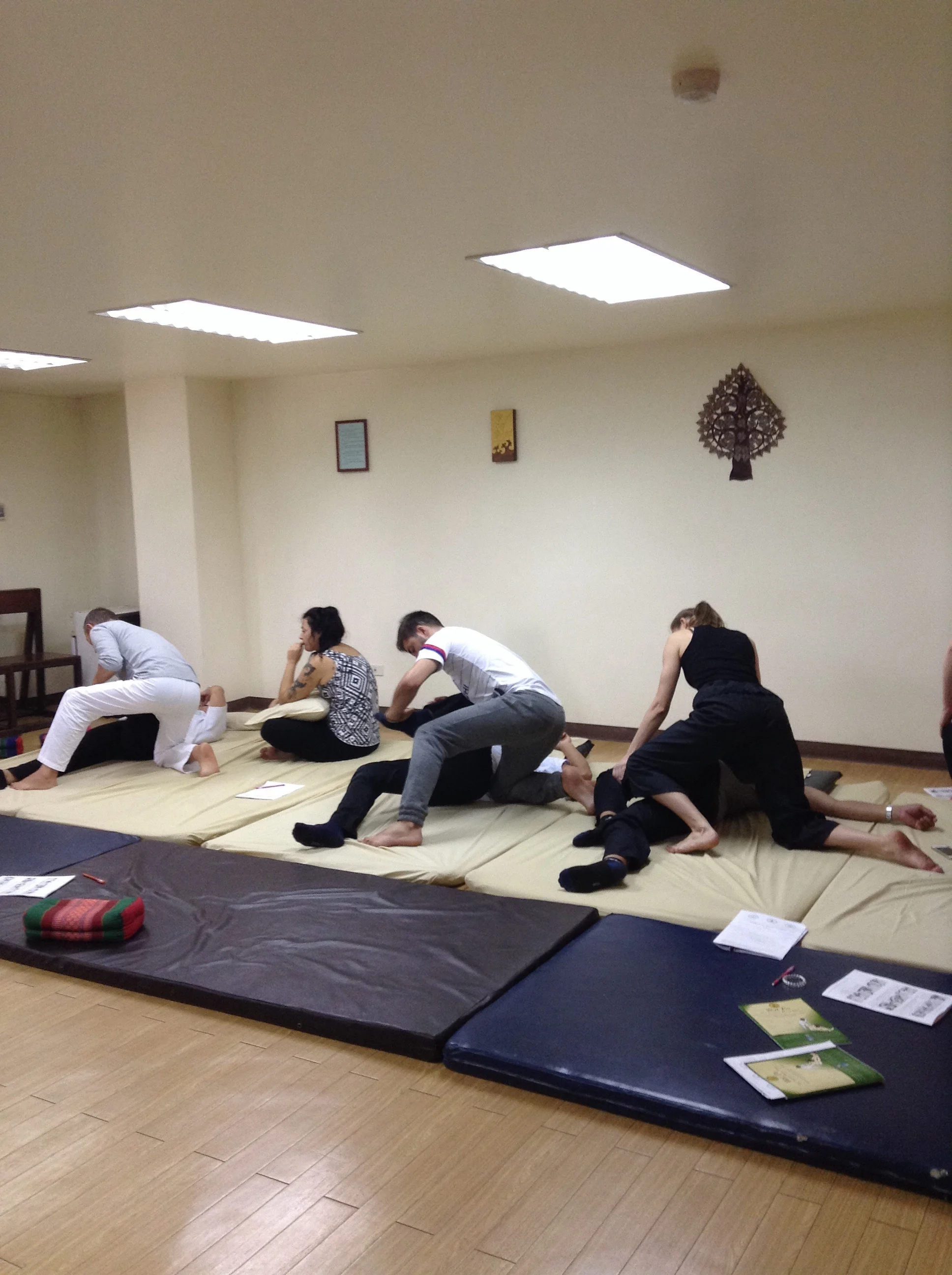 Weeks 1 and 2 at Wat Po Thai Massage School