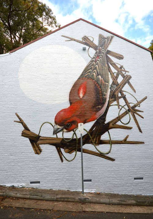 Perfect Match Festival (2016), Camperdown