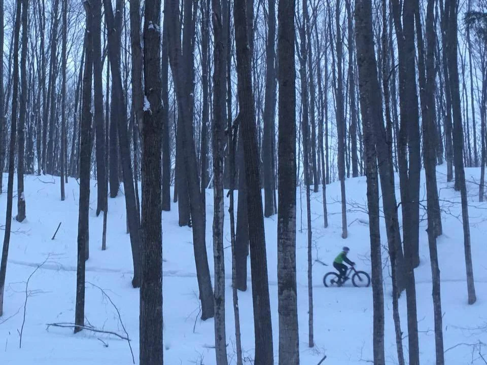 GH Shred.jpg