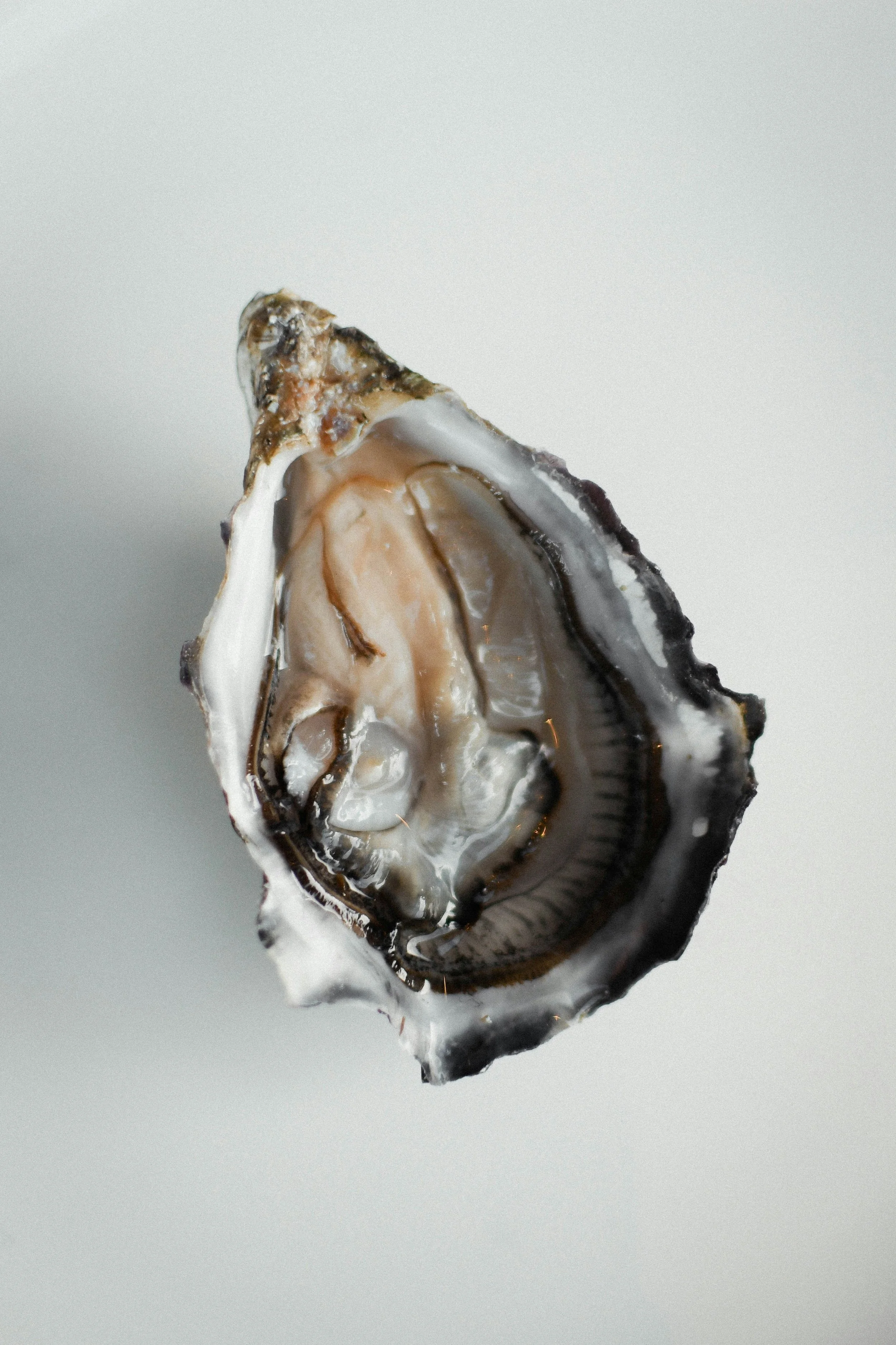 My Ever-Growing List of Favorite Oyster Bars