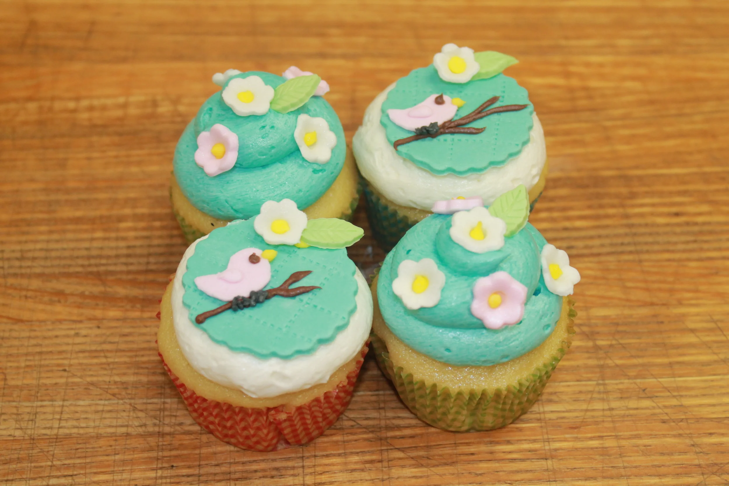 melissa Frederick - bird cupcakes.JPG