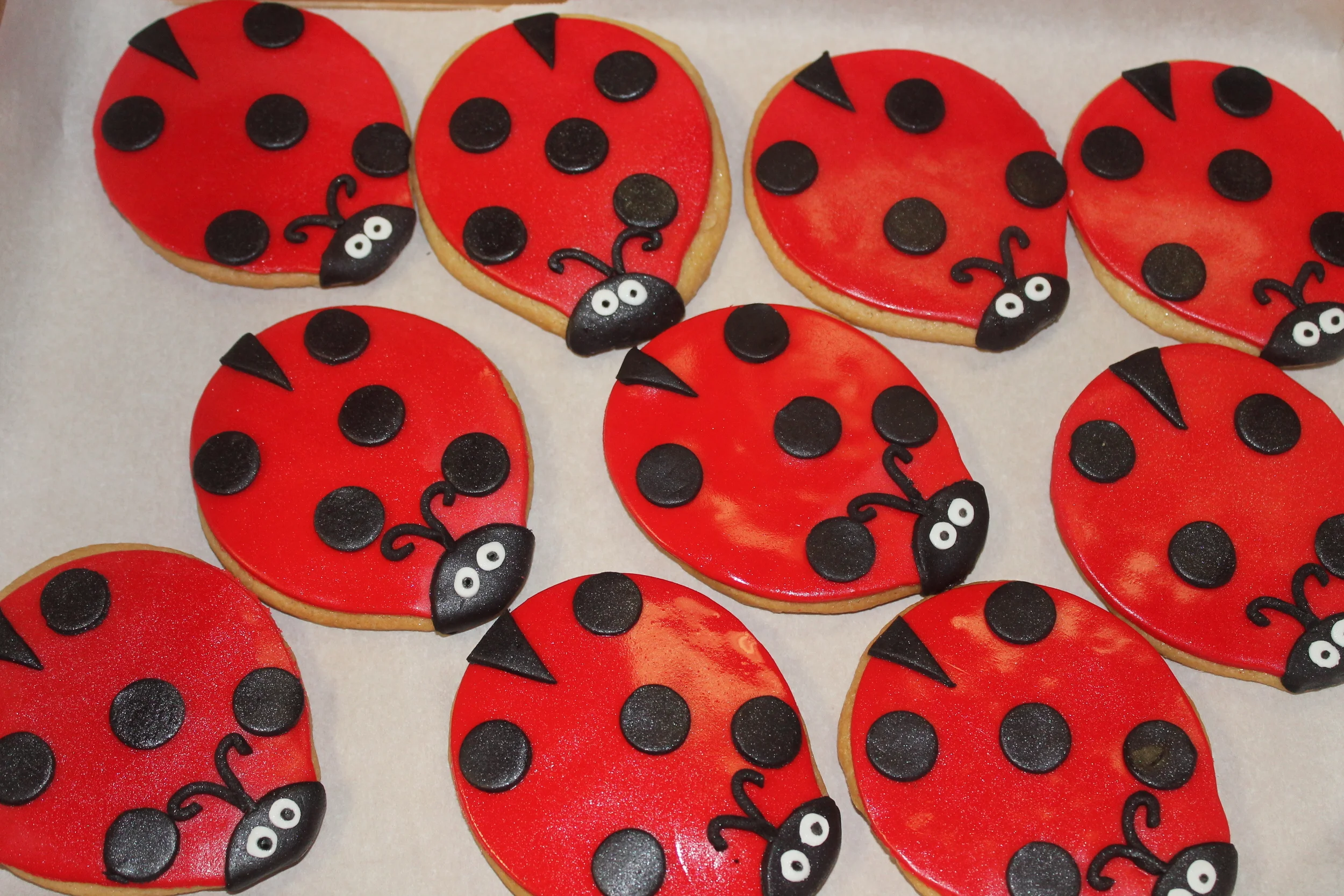 melissa Frederick - ladybug cookies.JPG