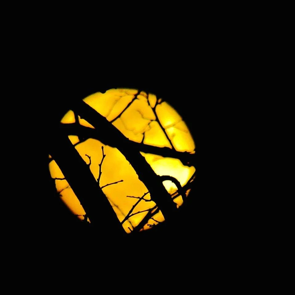 Basswood Court Oakview Townhomes