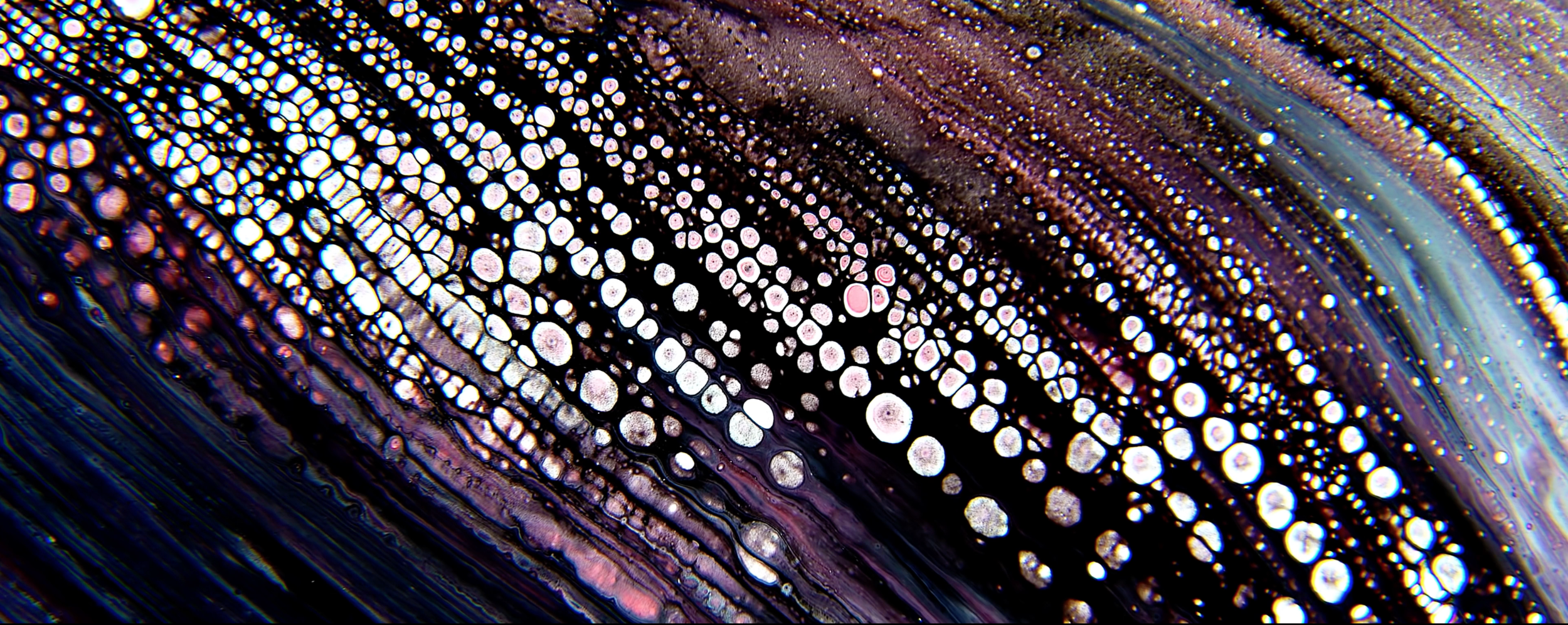 Screen Shot 2018-03-01 at 2.12.01 AM.png