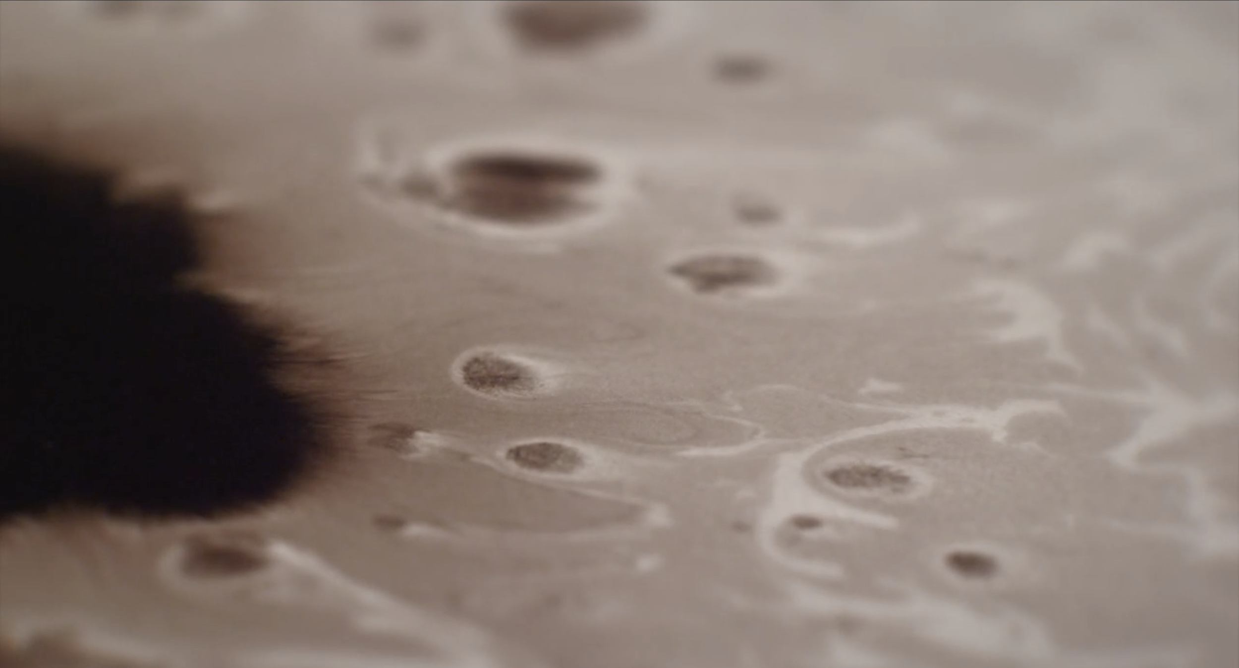 Screen Shot 2018-08-27 at 12.24.13 PM.png