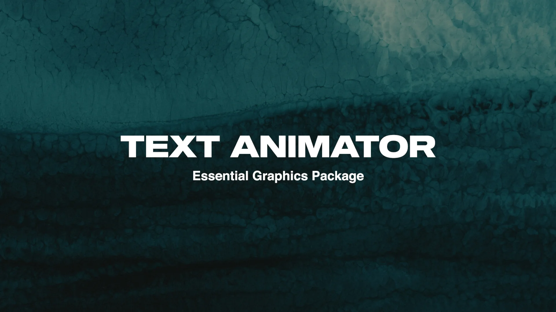 Text Animator Essential Graphics Package