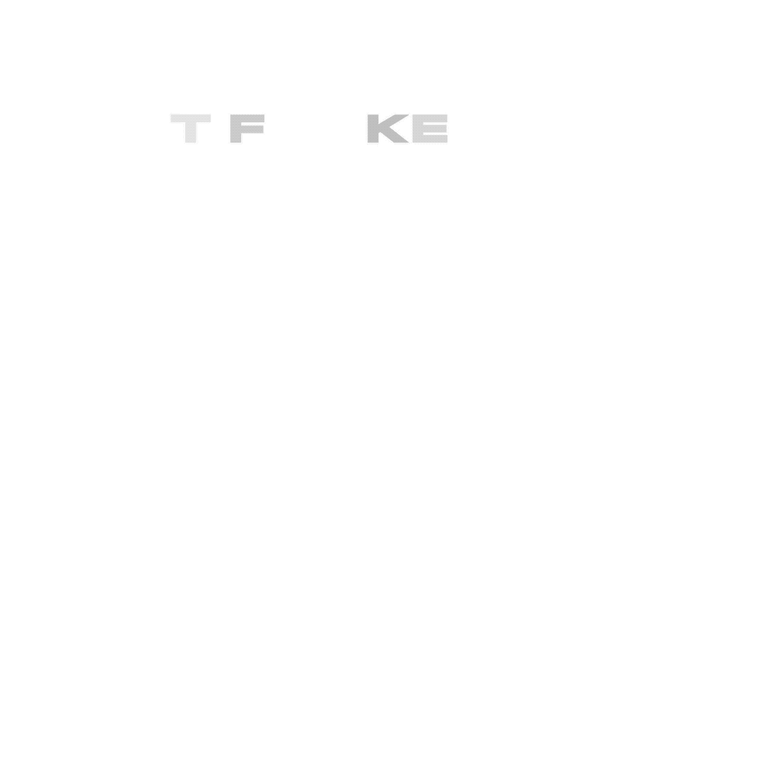 ExamplesOnlyWhite.gif