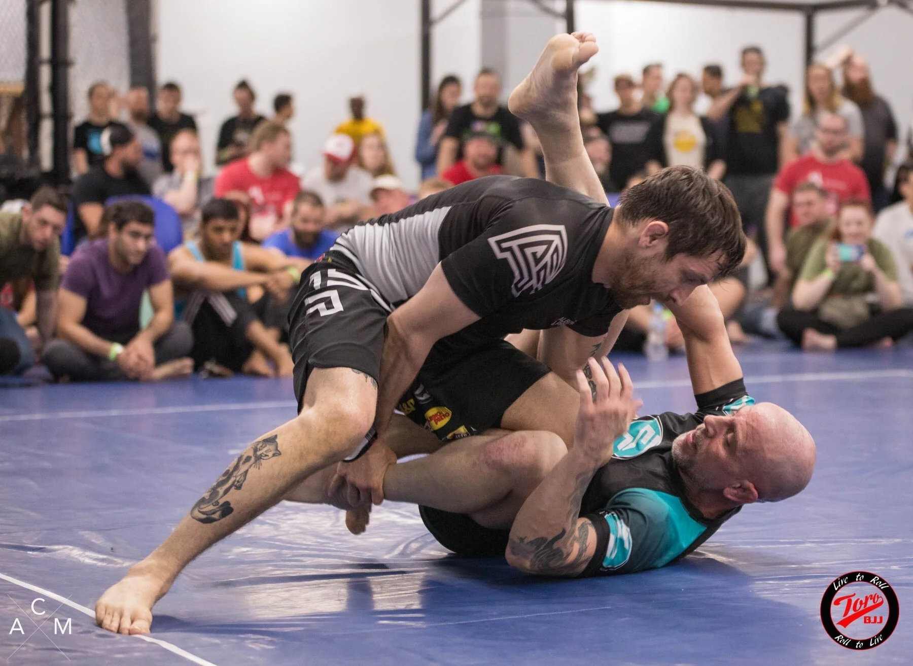 Vangar Wrestling Vangar Wrestling