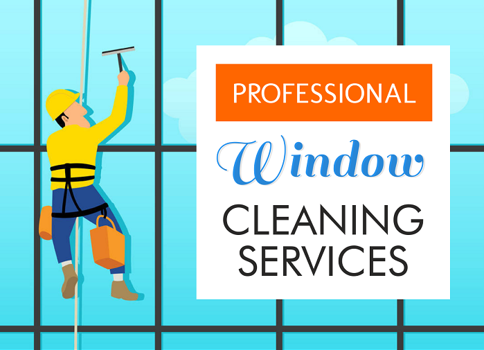 Professional Window Cleaning services