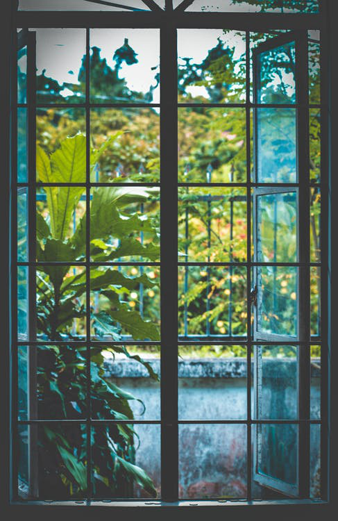 Love Standing By The Window? 4 Reasons Why Your Windows May Be Dirtier Than You Think 