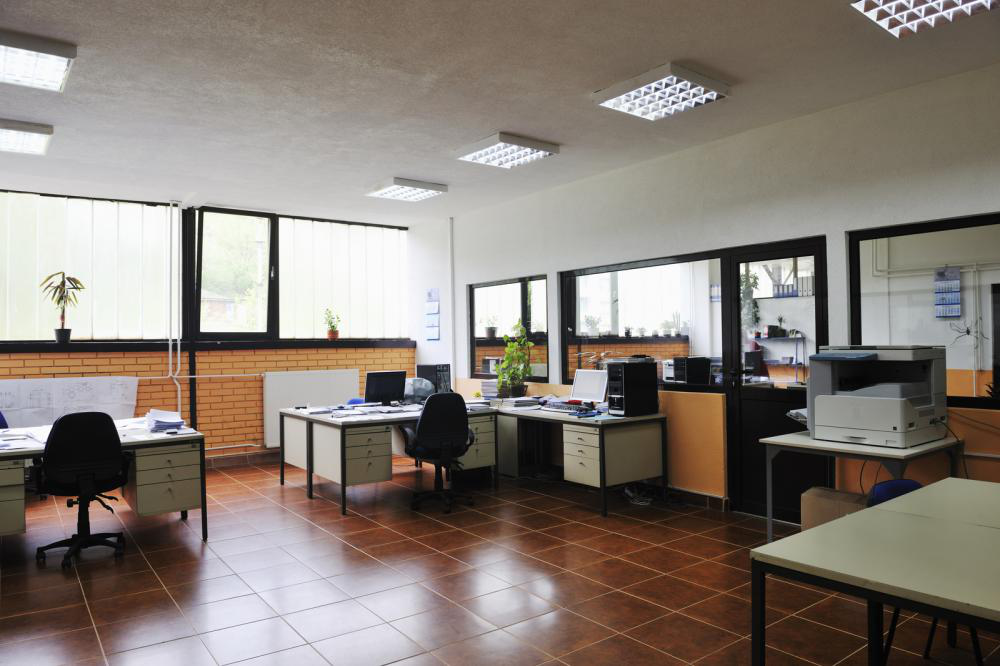 Unclean Office Premises Impact Your Business! Here's How! — Birds Beware