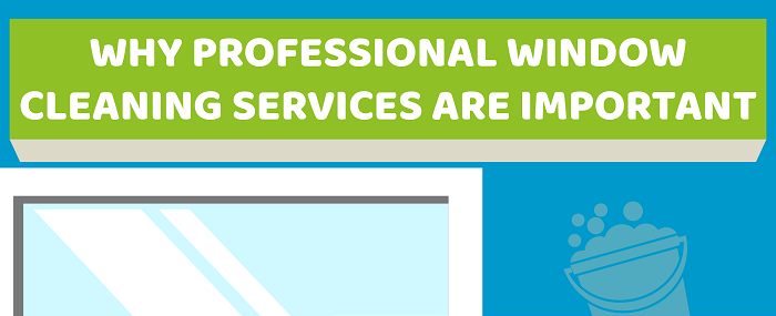 Why Professional Window Cleaning Services Are Important