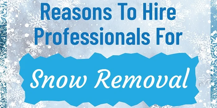 Reasons To Hire Professional For Snow removal 