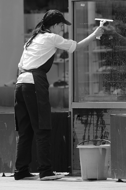 The Dos And Don’ts Of Window Cleaning