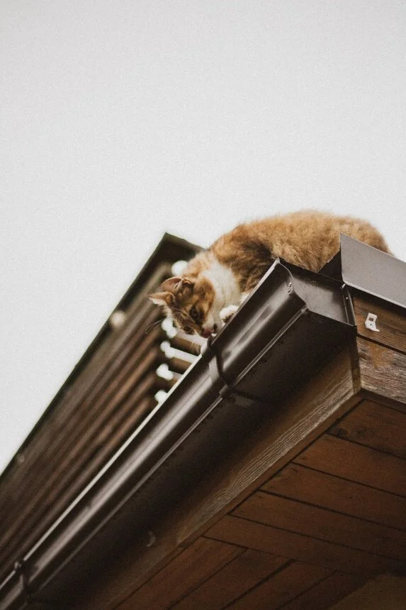 5 Tell-Tale Signs of a Clogged Gutter