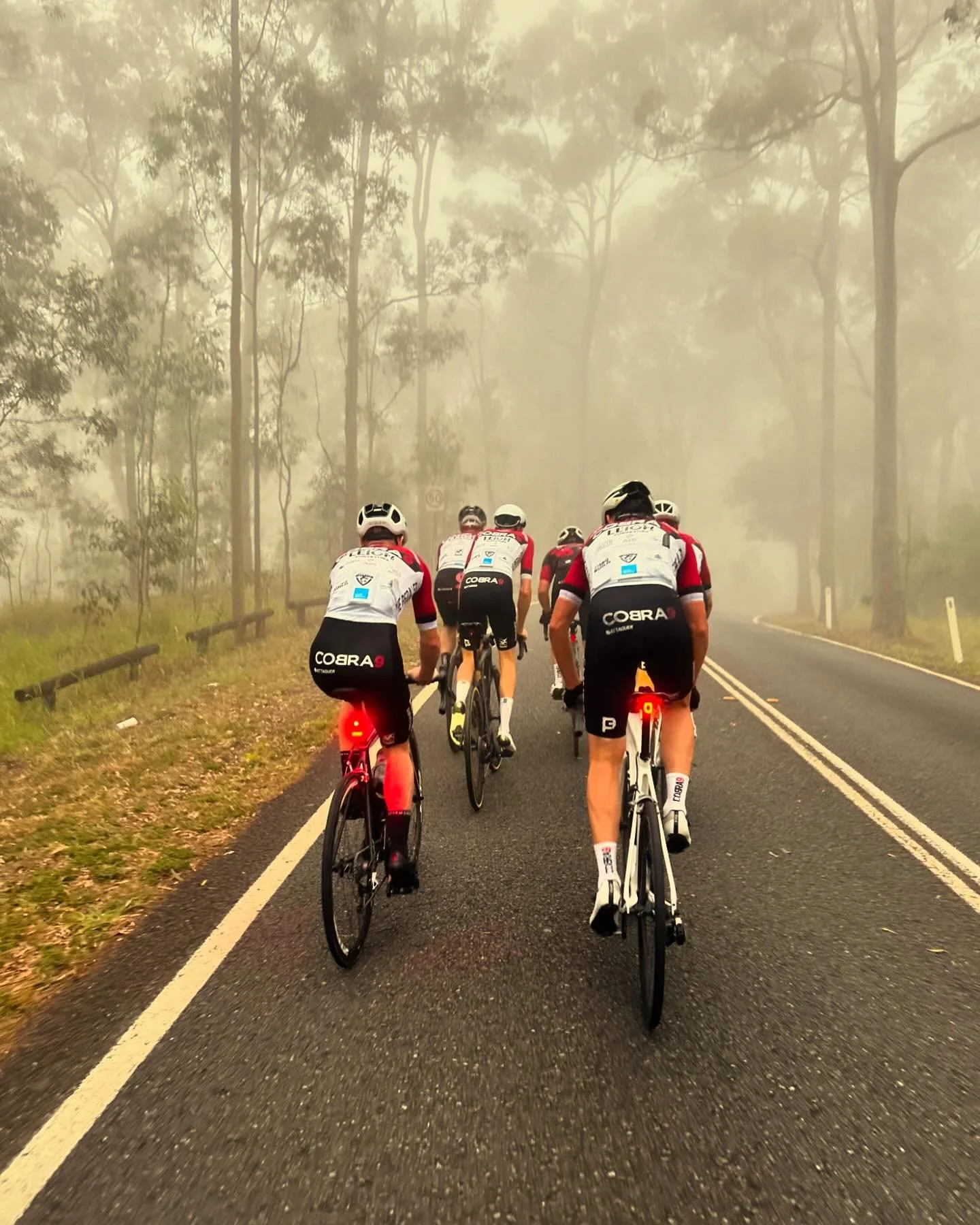 Cootha Tuesday. Always tremendous, never easy. #coothatuesday #thepedaler