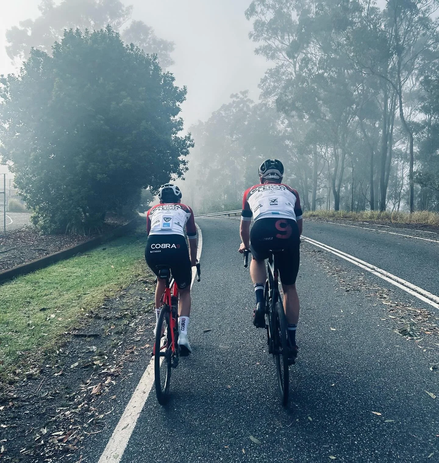 Coothas with plenty of storm litter. #thepedaler #coothatuesday