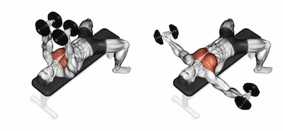 Chest Workout Dumbbell Fly Flat Bench Flat Bench Pec Deck With