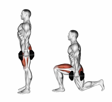 Exercise Database (Legs5) - Dumbbell Lunges — Jase Stuart - The Better ...