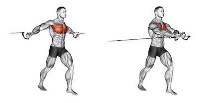 Exercise Database (Chest21) - Middle Cable Pec Fly — Jase Stuart - The  Better Body Coach