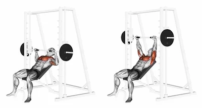 upper chest smith machine