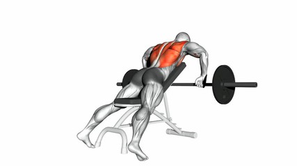 Incline Bench Barbell Row