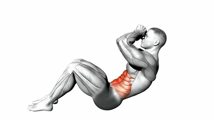 Sit Up