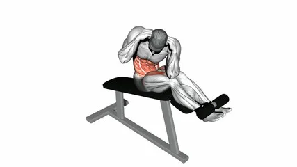 Decline Crunches with Twist