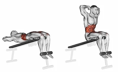 Decline Sit Ups