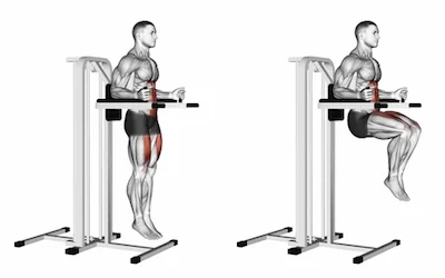 Knee Raises