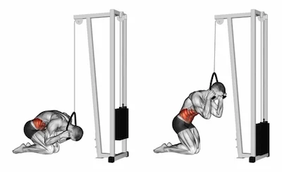 Kneeling Cable Crunch