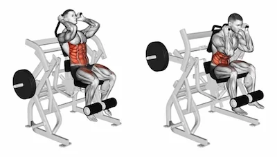 Seated Ab Crunch Machine