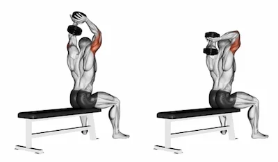 Exercise Database (Triceps6) - Seated Two Arm Overhead ...