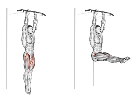 Exercise Database (Abs15) - Hanging Leg Raises — Jase Stuart - The