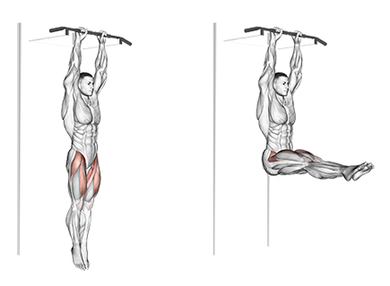 https://images.squarespace-cdn.com/content/v1/55e406fbe4b0b03c5e7543ae/1495658662551-OECKRL3G8O92ABDHKU9V/Hanging+Leg+Raises+2