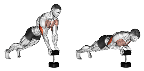 Exercise Database (Chest26) - Close Grip Dumbbell Push Ups — Jase ...