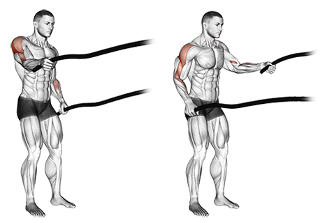 Exercise Database (Shoulders23) - Battle Ropes — Jase Stuart - The Better  Body Coach