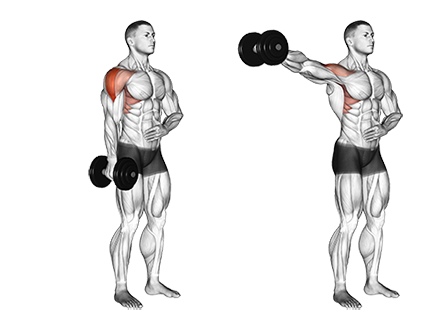 Exercise Database (Shoulders26) - One Arm Standing Dumbbell ...