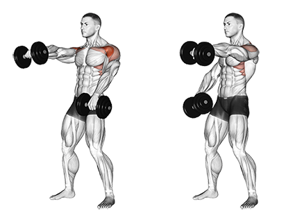 Exercise Database (Shoulders29) - Standing Alternate Dumbbell Front ...
