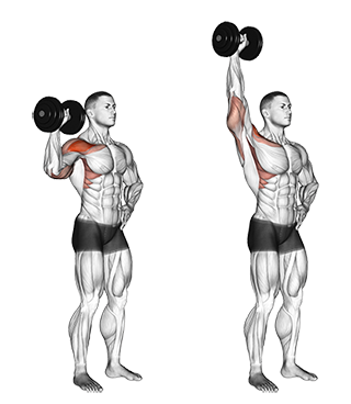 Exercise Database (Shoulders32) - Standing One-Arm Dumbbell Shoulder ...