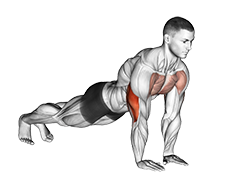 Prone Plank