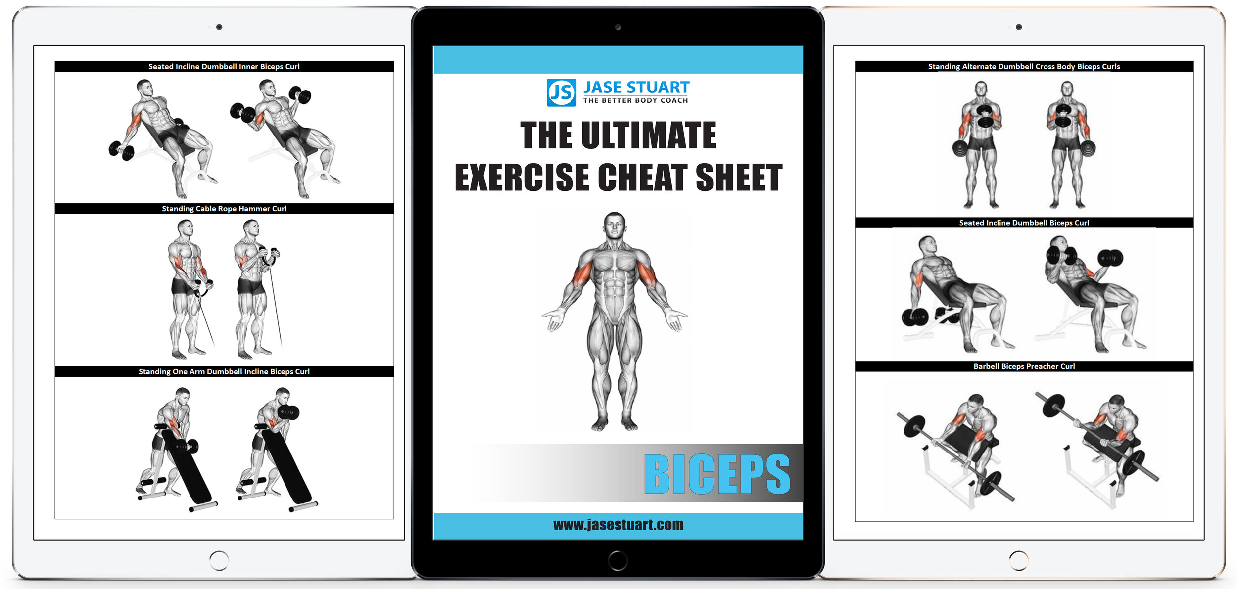 Ultimate Exercise Guide - Biceps.jpg