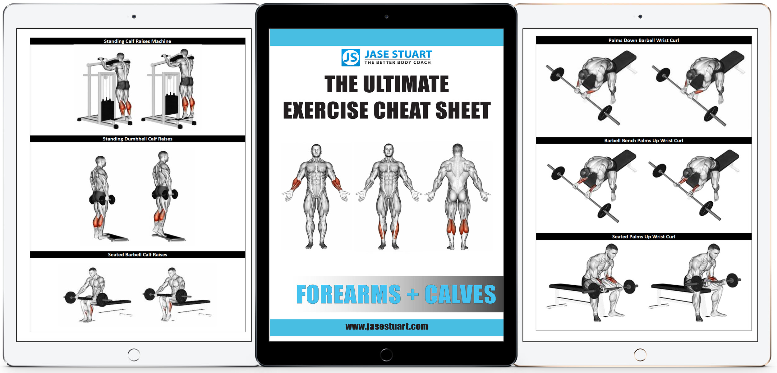 Ultimate Exercise Guide - Forearms + Calves.jpg