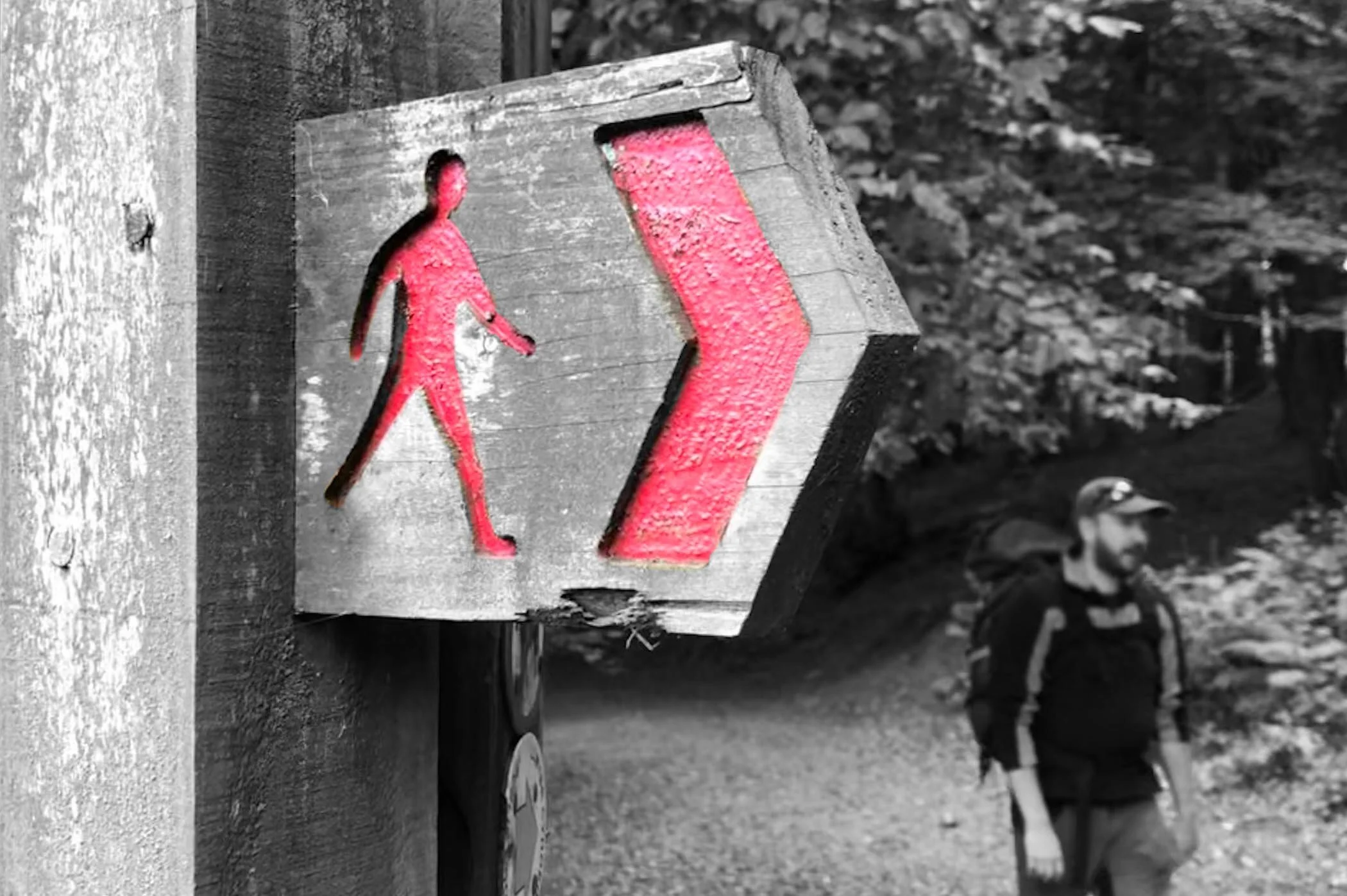Red Treks