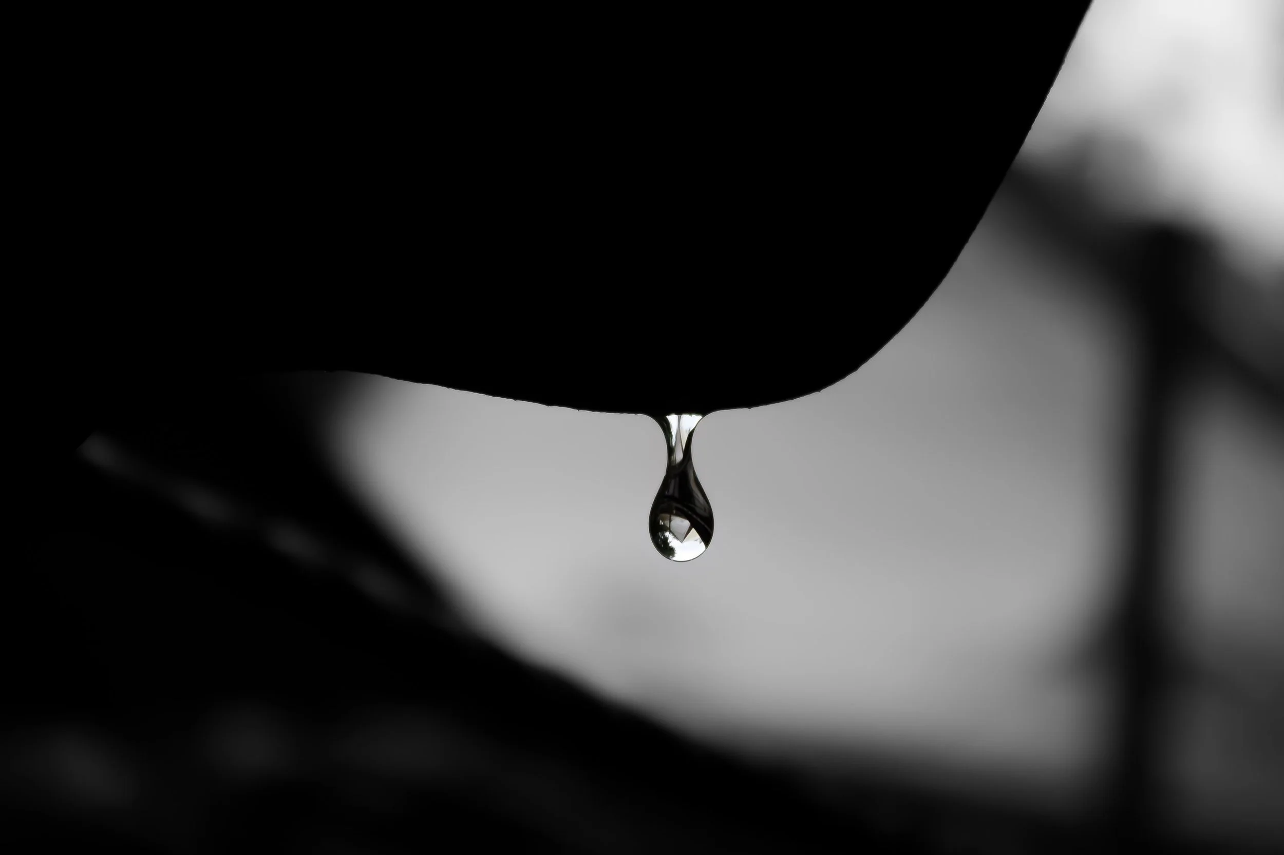 The tears of the oppressed