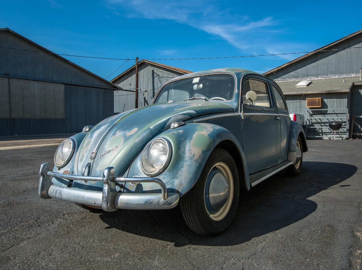 Old_Bug.jpg