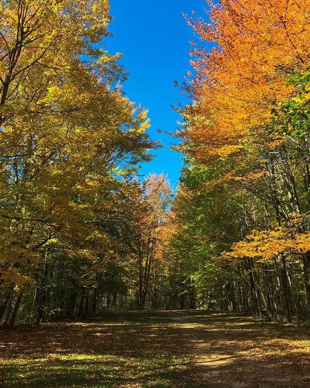 Fall in the Northeast #nofilter #nofilterneeded #travelgram #travelphotography #expatlife #instagood #instadaily #moodygram #fall #autumn🍁