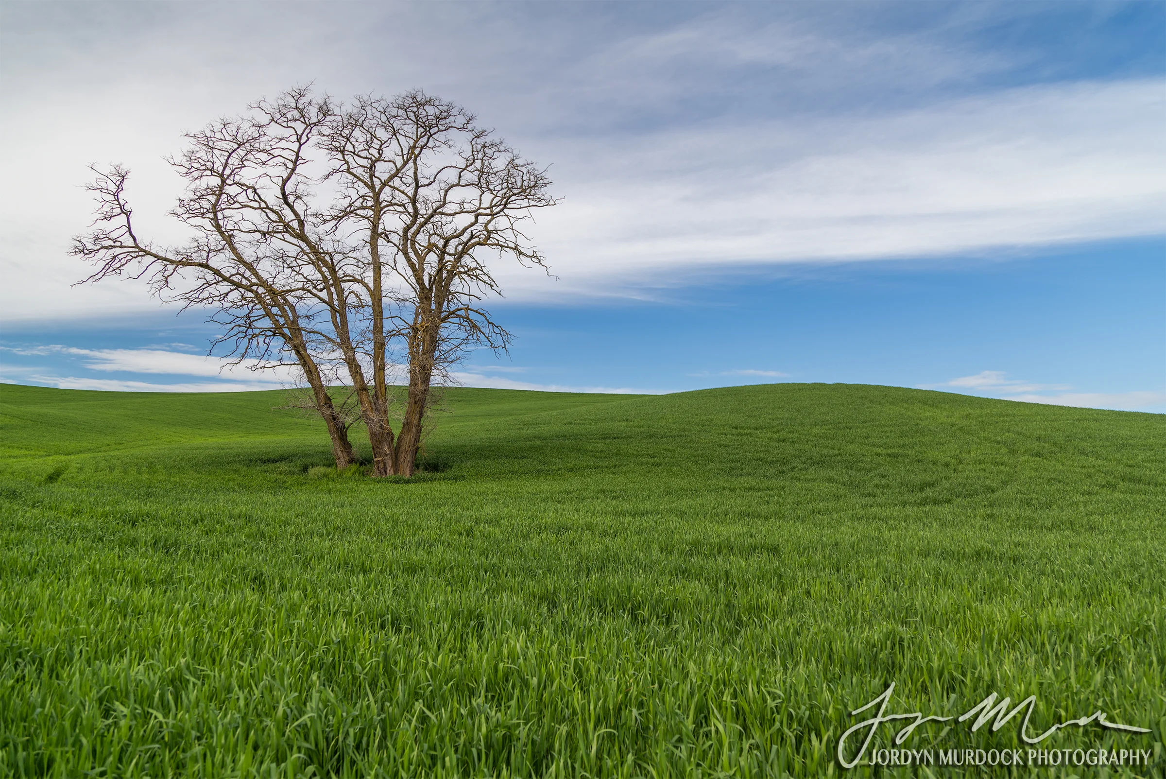 Palouse 14 Web WM.jpg