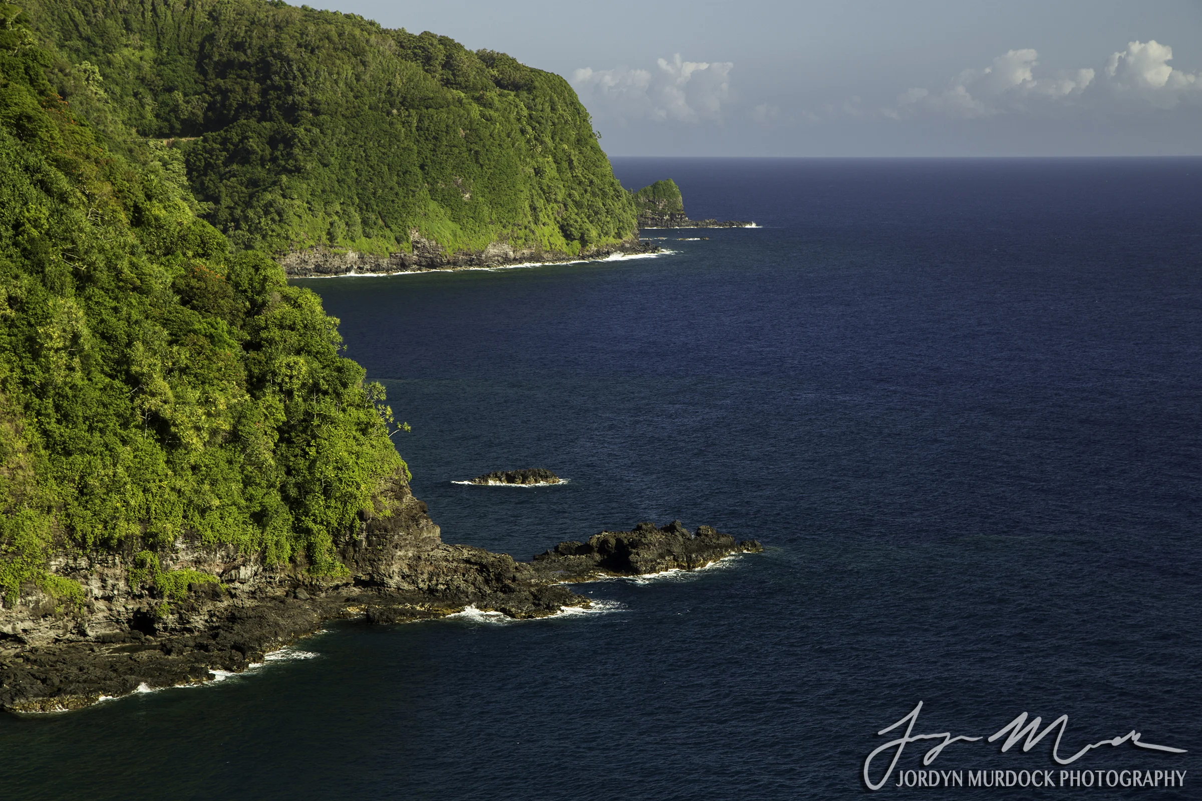 Maui Coast Web WM.jpg