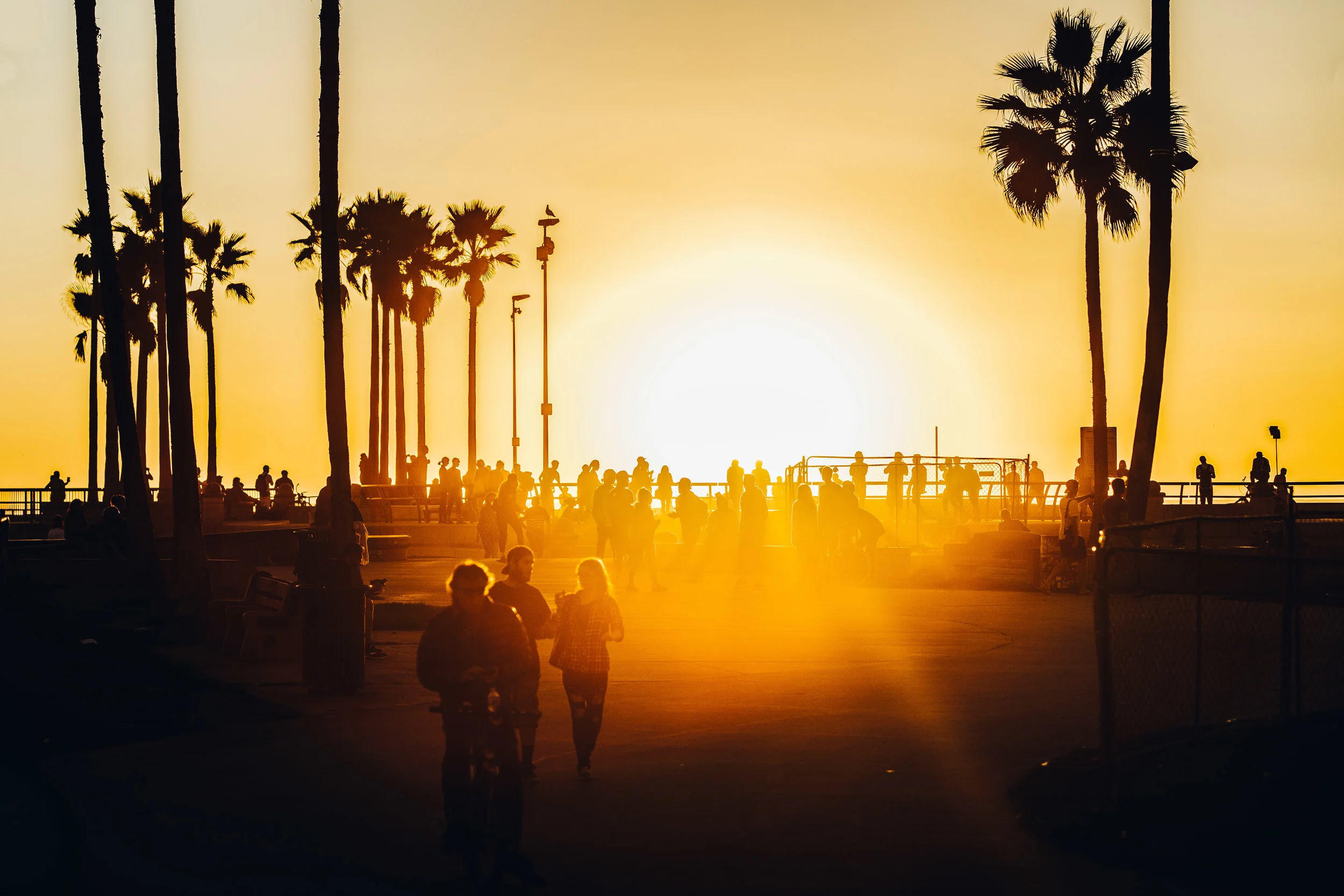 _X3A6180-Edit-2.jpg